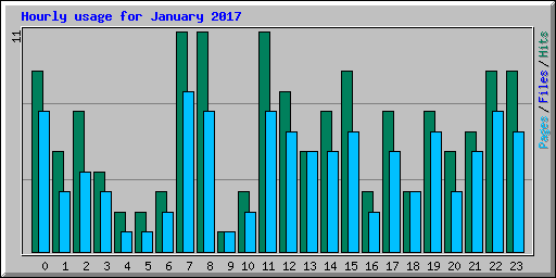 Hourly usage for January 2017