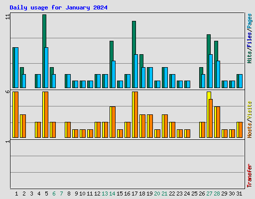 Daily usage for January 2024