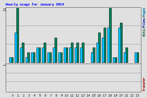 Hourly usage for January 2024