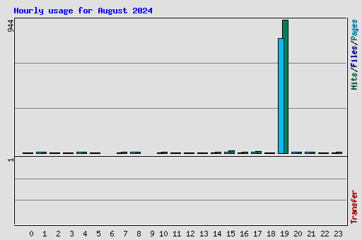 Hourly usage for August 2024