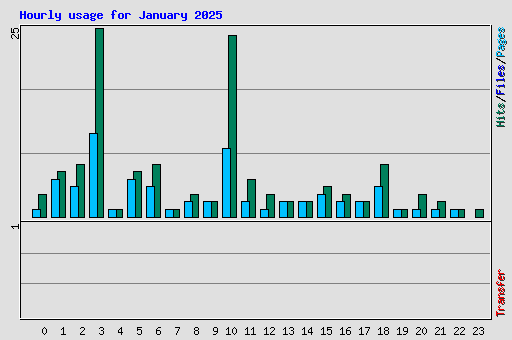 Hourly usage for January 2025